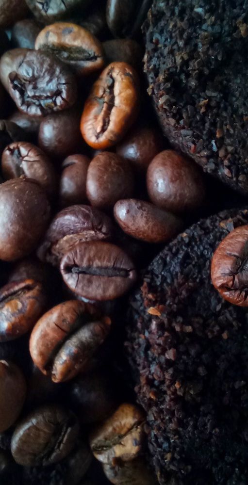 Фотография автора Марина Новикова