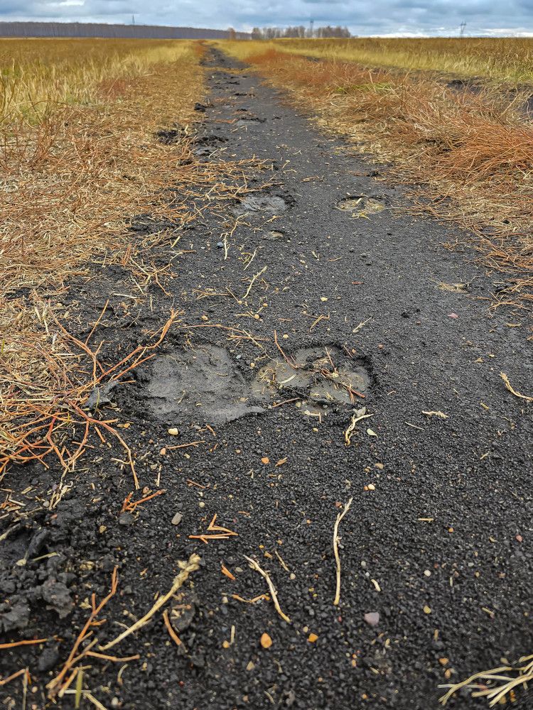 Photograph by Максим Фролов