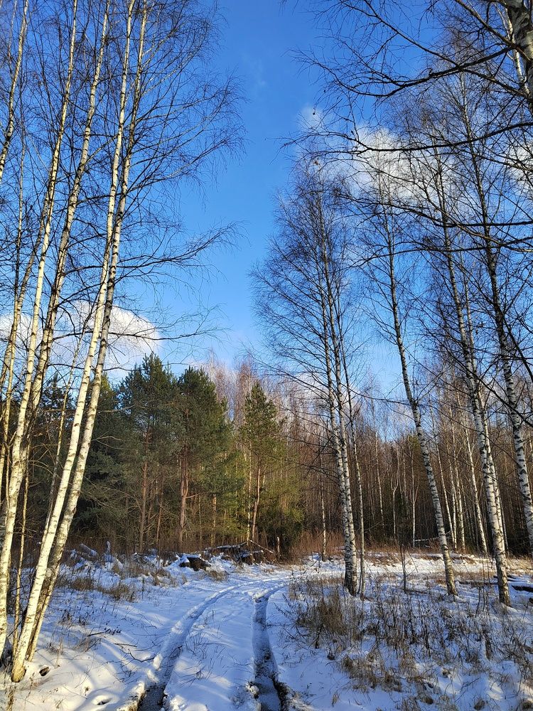 Photograph by Евстигнеев Евгений Васильевич