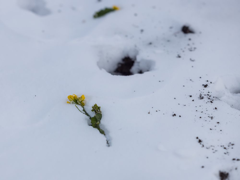 Photograph by Максим Фролов