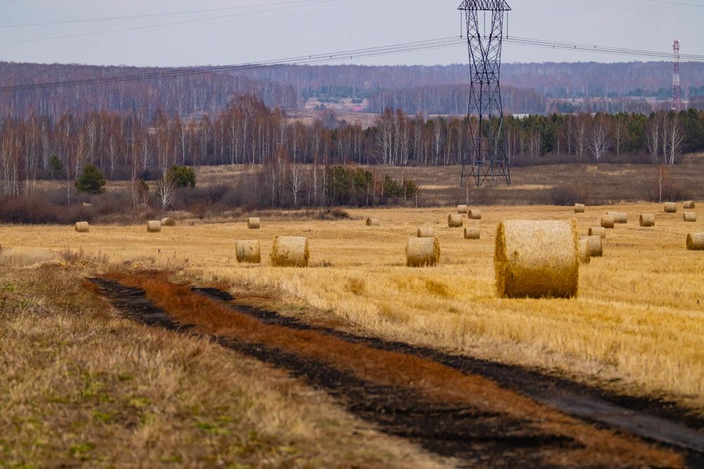 Photograph by Максим Фролов