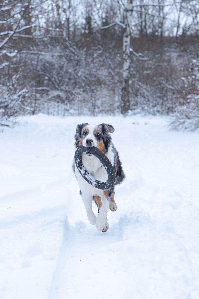 Photograph by Диана