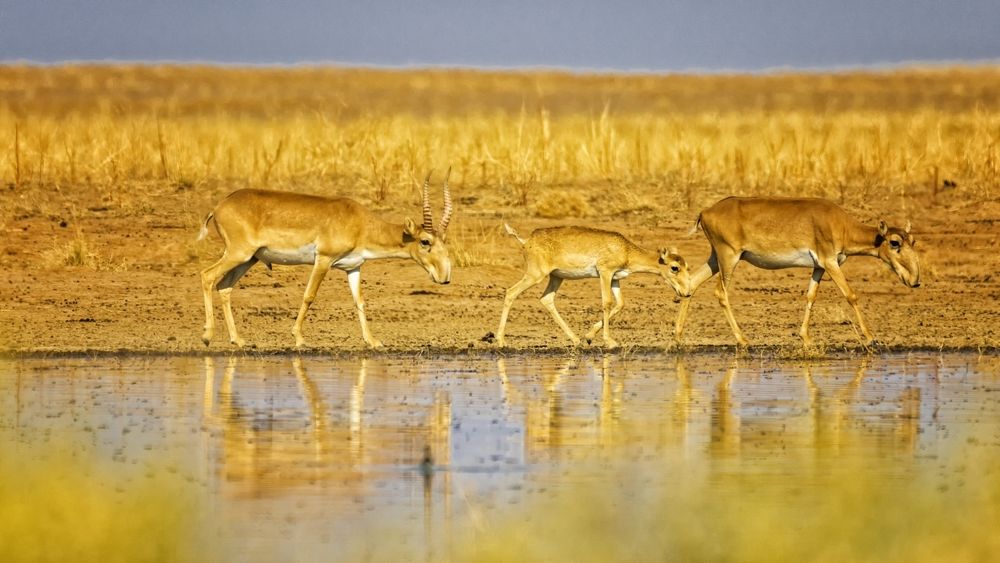 Photograph by Анатолий Салтыков