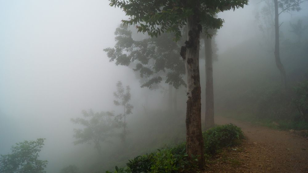 Photograph by Наталья Ерохина