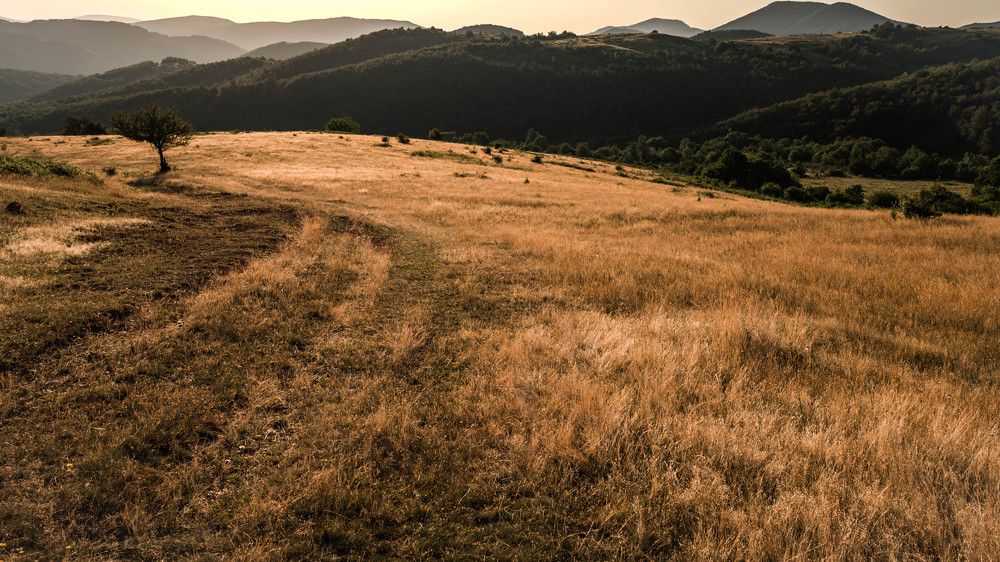 Photograph by Петър Петров