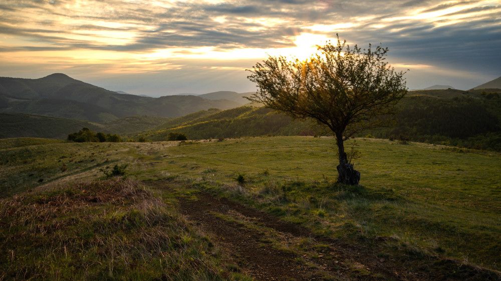 Photograph by Петър Петров