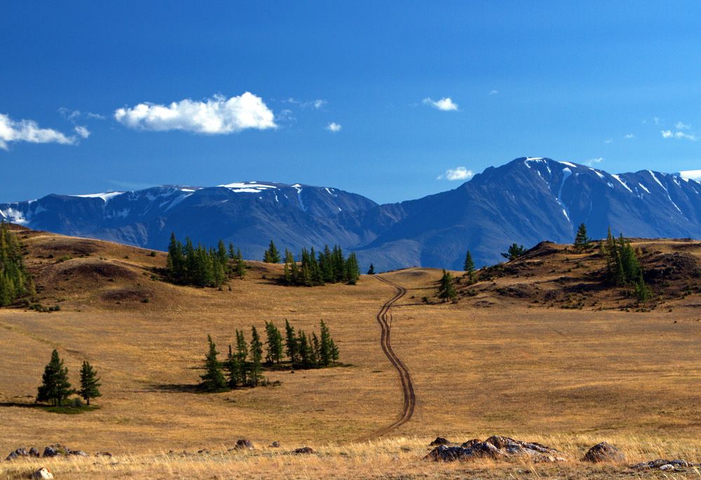 Photograph by Алексей Хазов