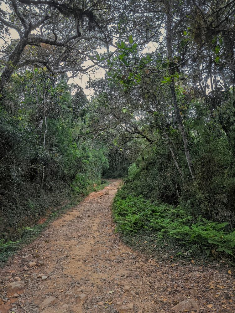 Photograph by Дудников Александр