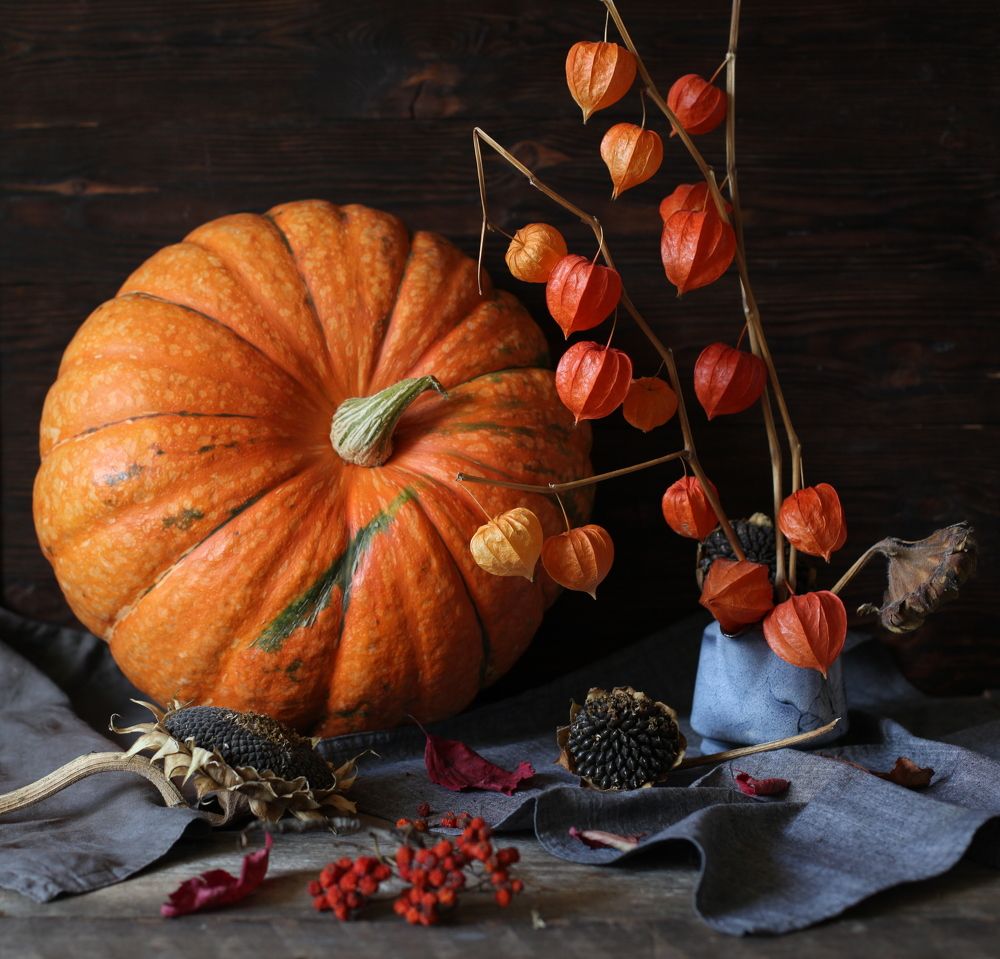 Королева осени