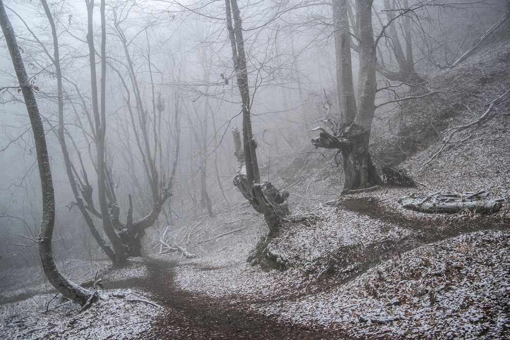 Фотография автора Шипунова Ирина