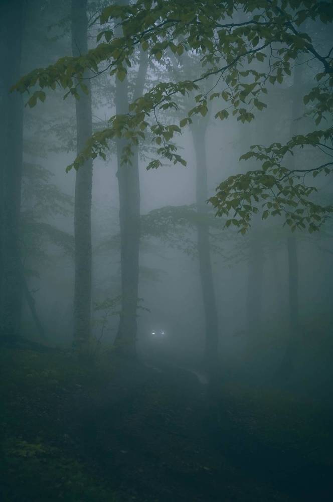 Photograph by Ирина Ри