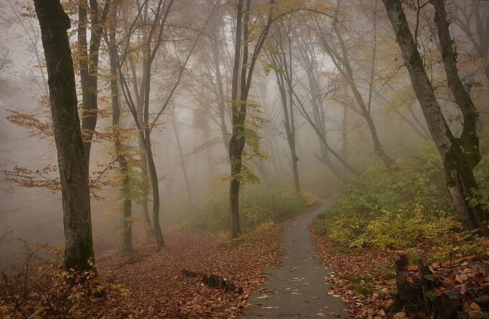 Photograph by Шипунова Ирина