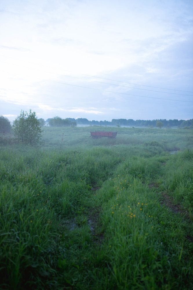 Photograph by Ольга