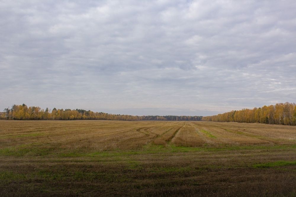 Photograph by Ольга Сергеенко