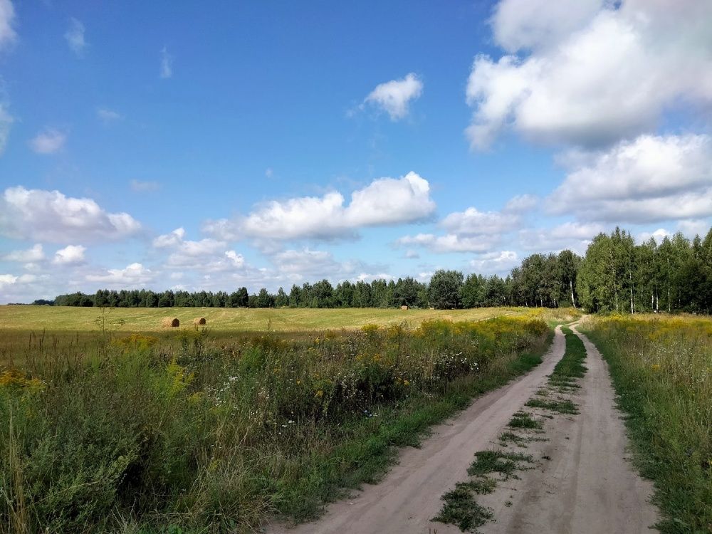 Photograph by Ольга Сергеенко