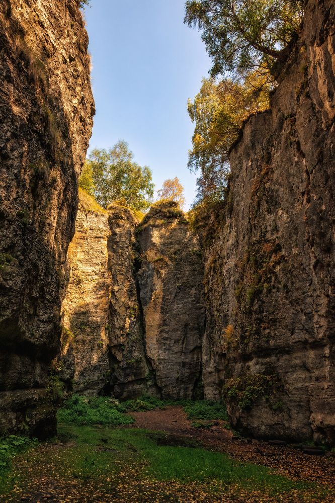 Photograph by Дудников Александр