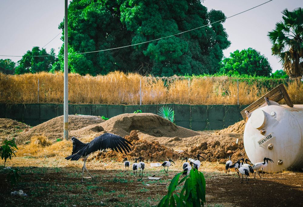 Photograph by Александр Шалагин