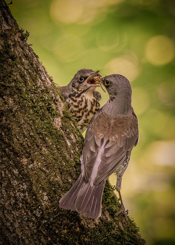 Photograph by Юлия Калугина