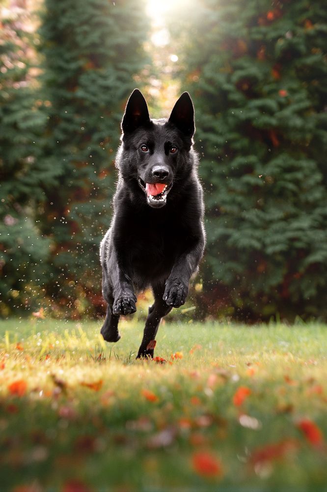 Фотография автора Оксана Серова