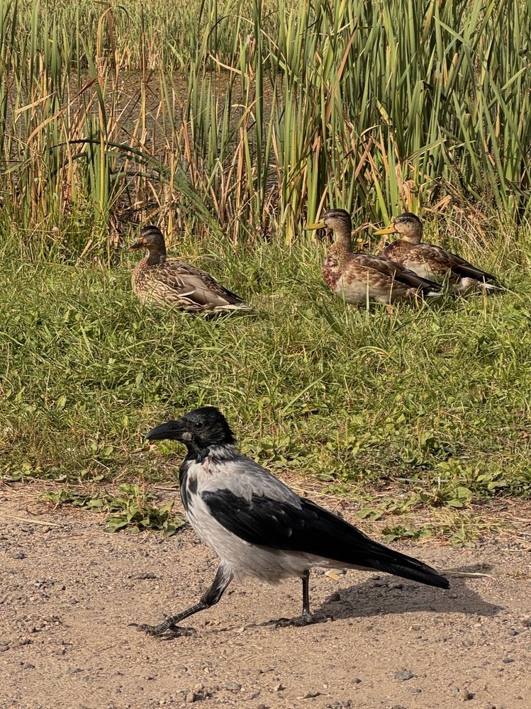 Photograph by Галина Махонь
