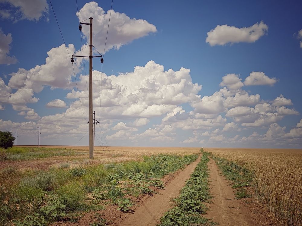Фотография автора Татьяна Егорова