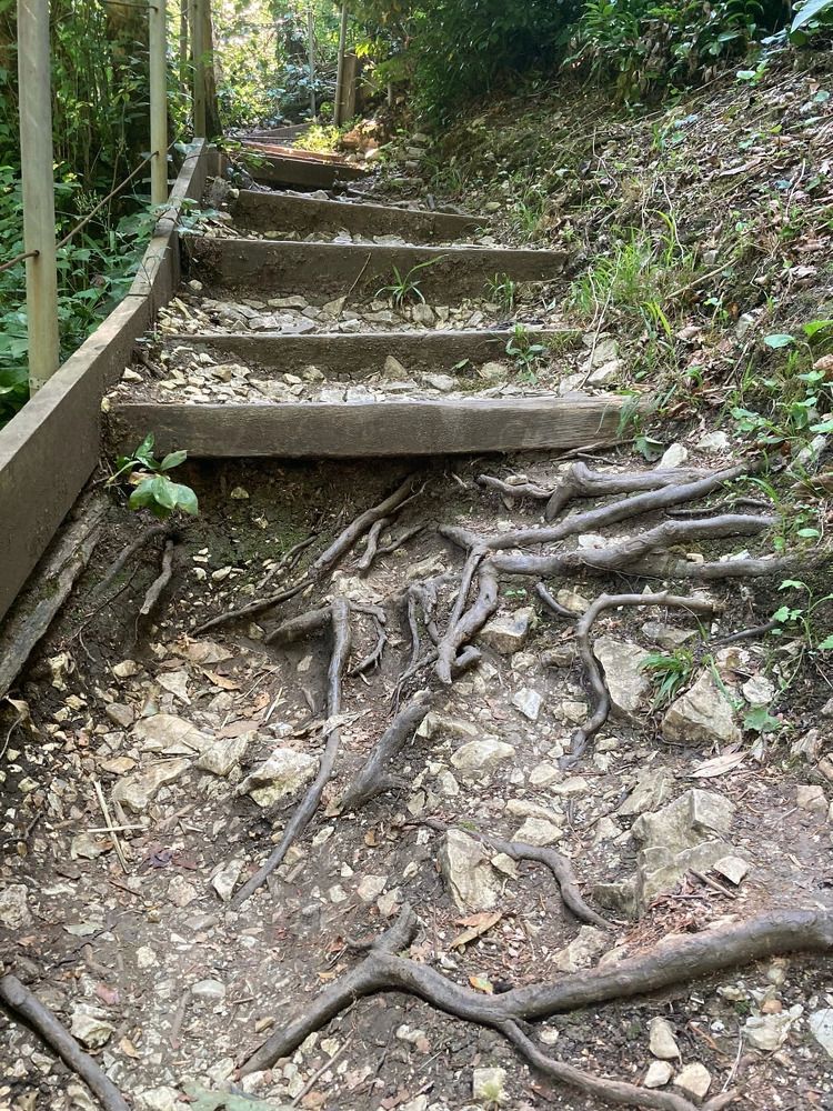 Photograph by Людмила Коныгина