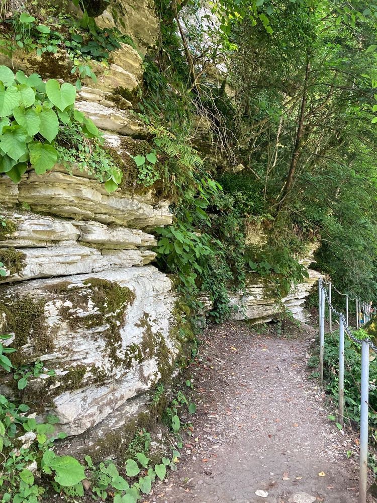 Photograph by Людмила Коныгина