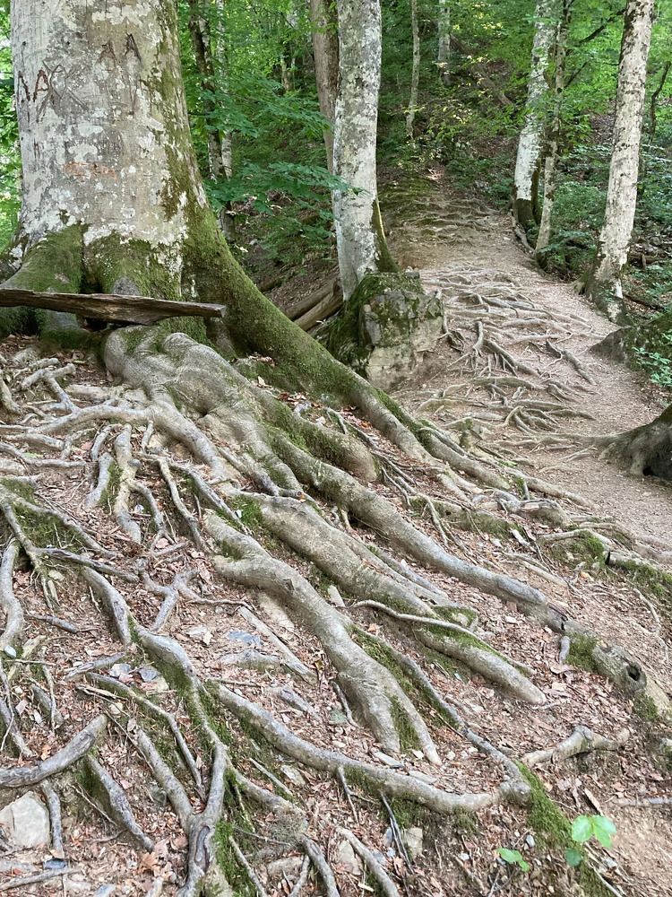 Photograph by Людмила Коныгина