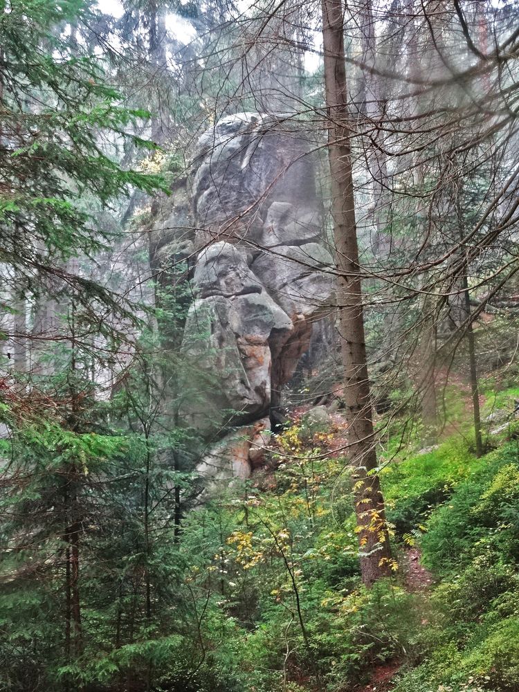 Photograph by Мила Милая