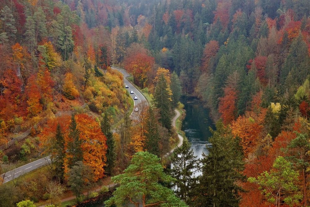 Photograph by backareva irina