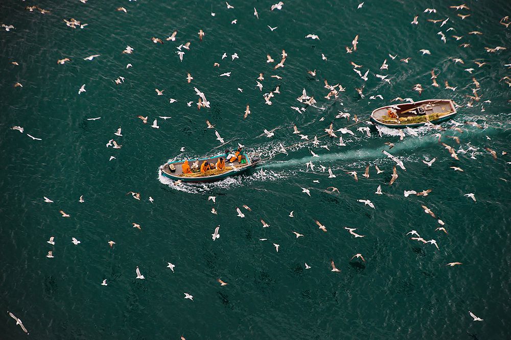 Photograph by Макс Яковенко