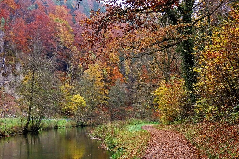 Photograph by backareva irina