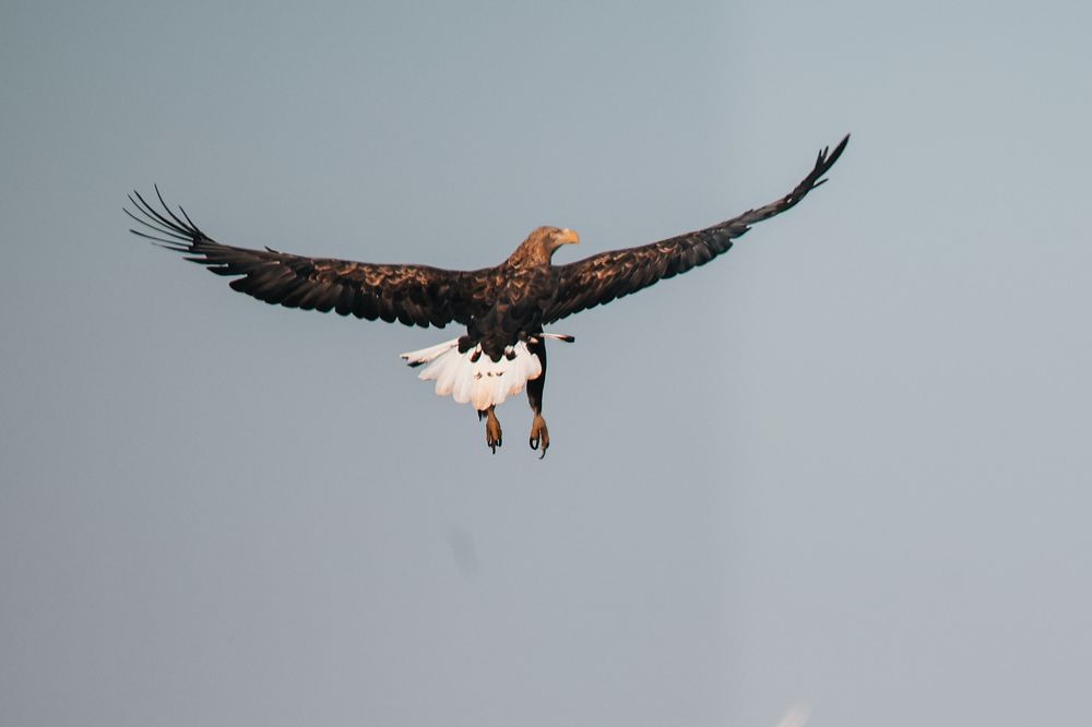 Photograph by Виктор Владимиров