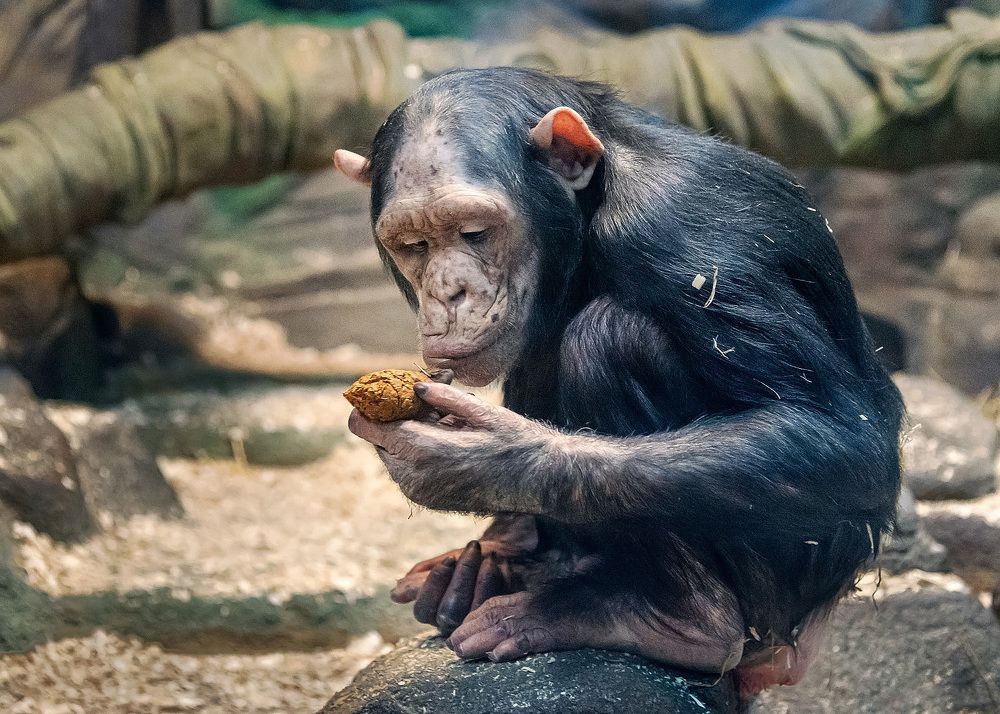 Photograph by Белевитин Михаил