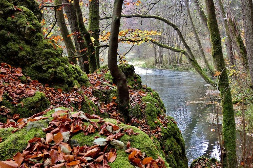 Photograph by backareva irina