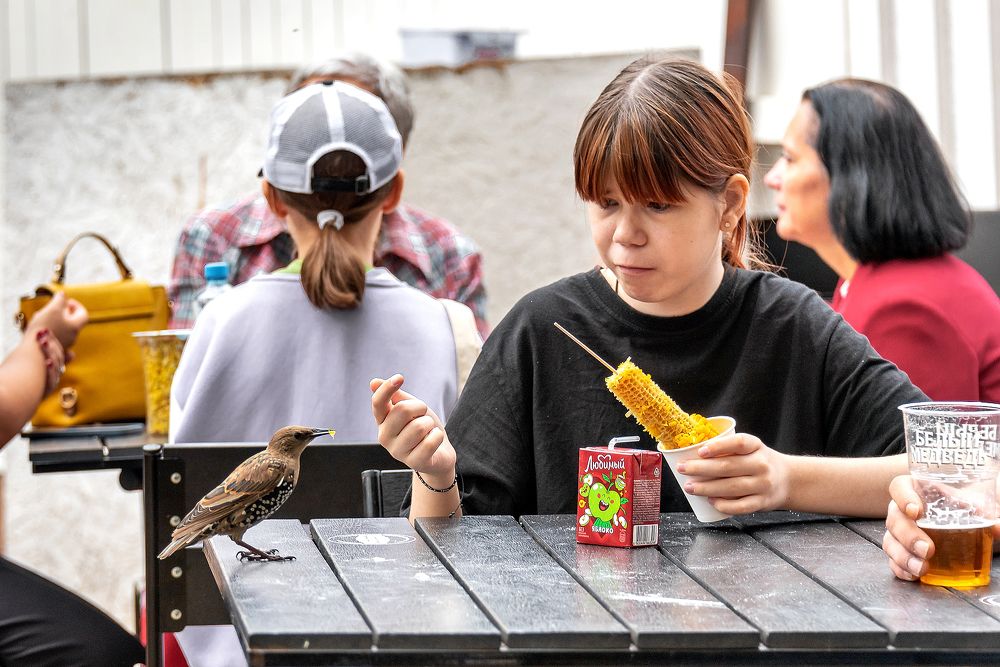 Photograph by Белевитин Михаил