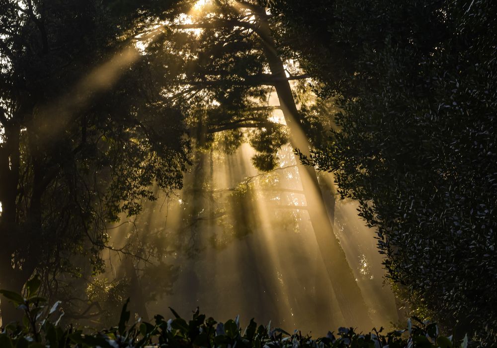 Photograph by Eva Wiedemann