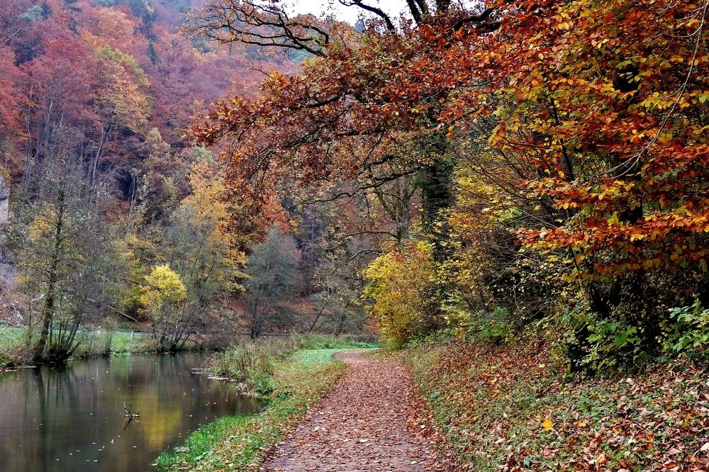 Photograph by backareva irina