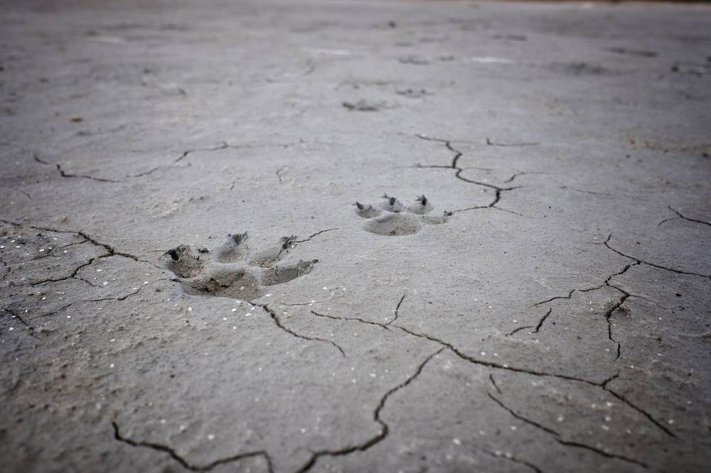 Photograph by Зорин Миша