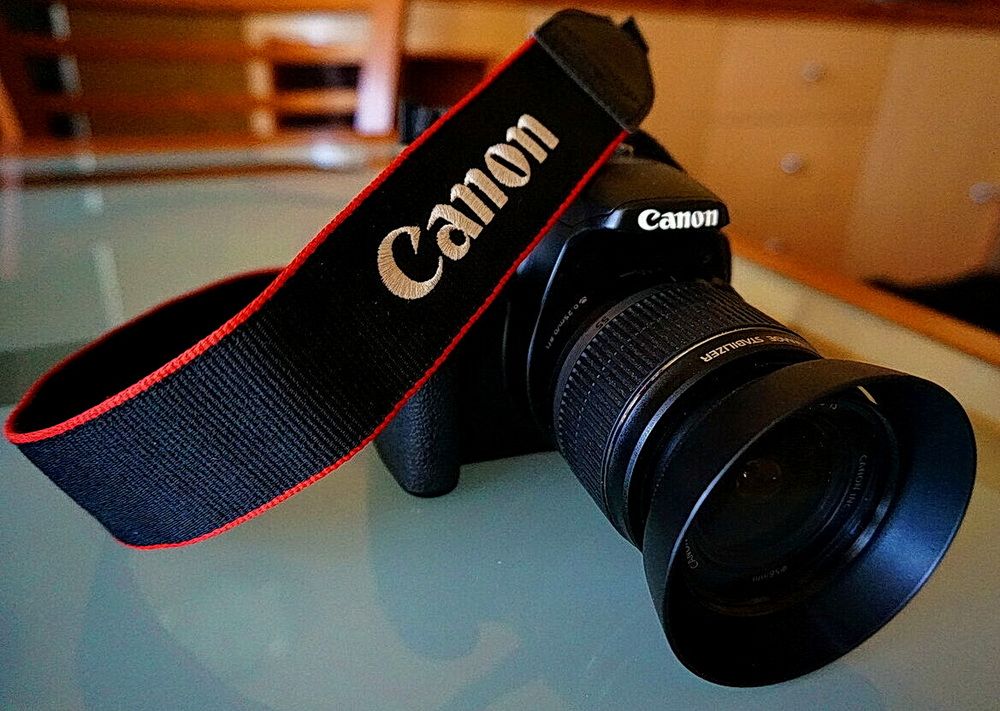 Фотография автора АЛЕКСАНДР ЦЫГЕЛЬНЮК