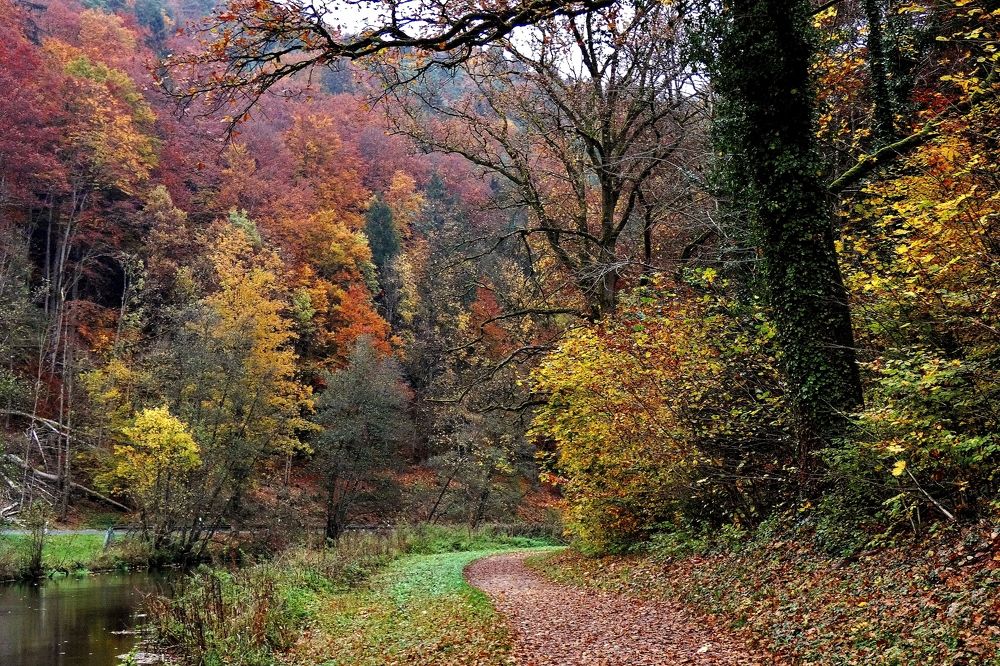 Photograph by backareva irina