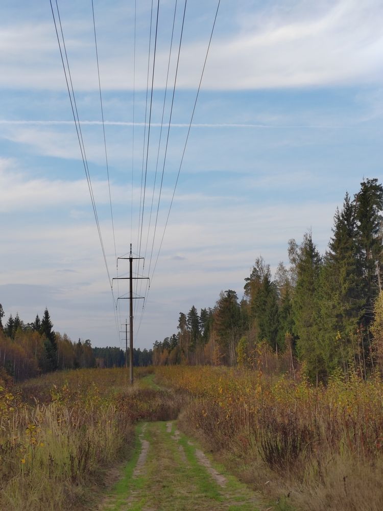 Фотография автора Татьяна Егорова