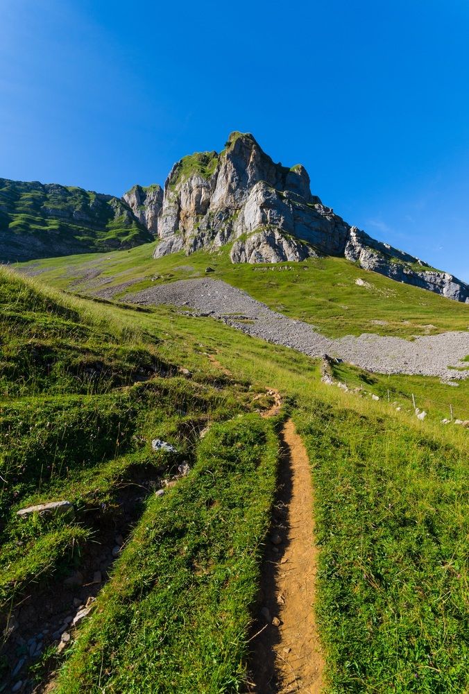 Photograph by Alexey S