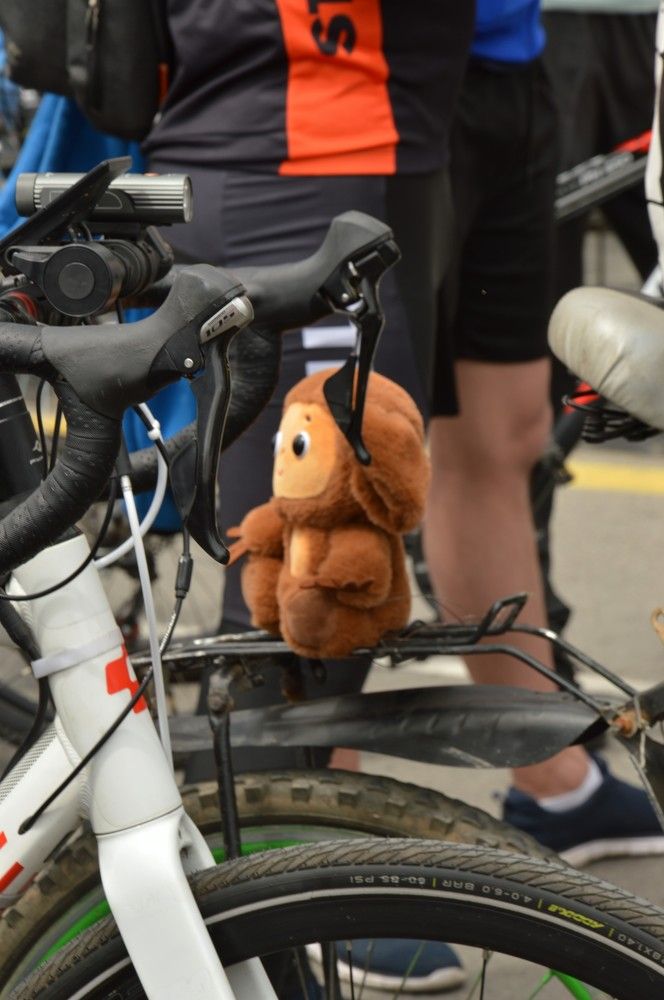 Photograph by Ольга Шевцова