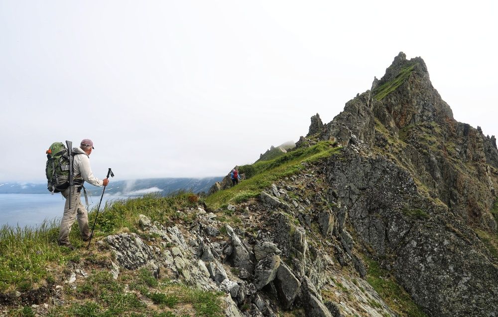 По медвежьей тропе