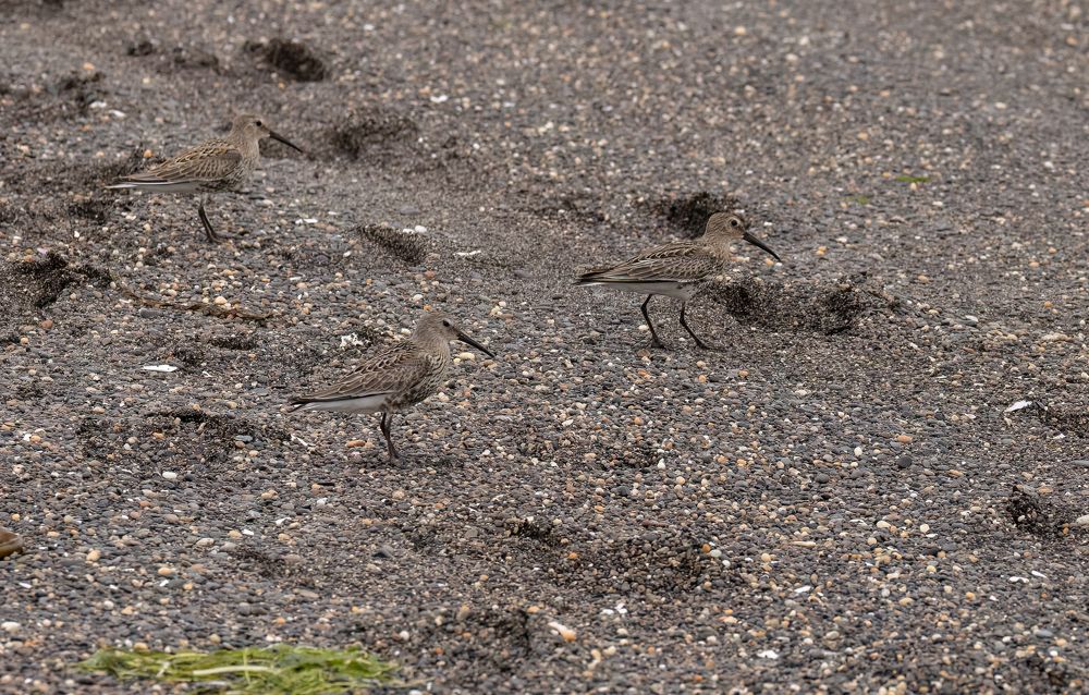 Photograph by Галина Павлова