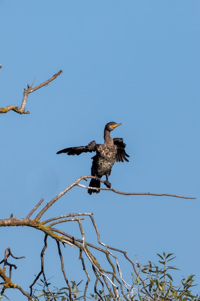 Photograph by Константин Шатилов