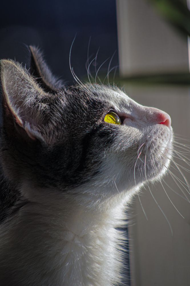 Photograph by Juan Alonso Gutiérrez