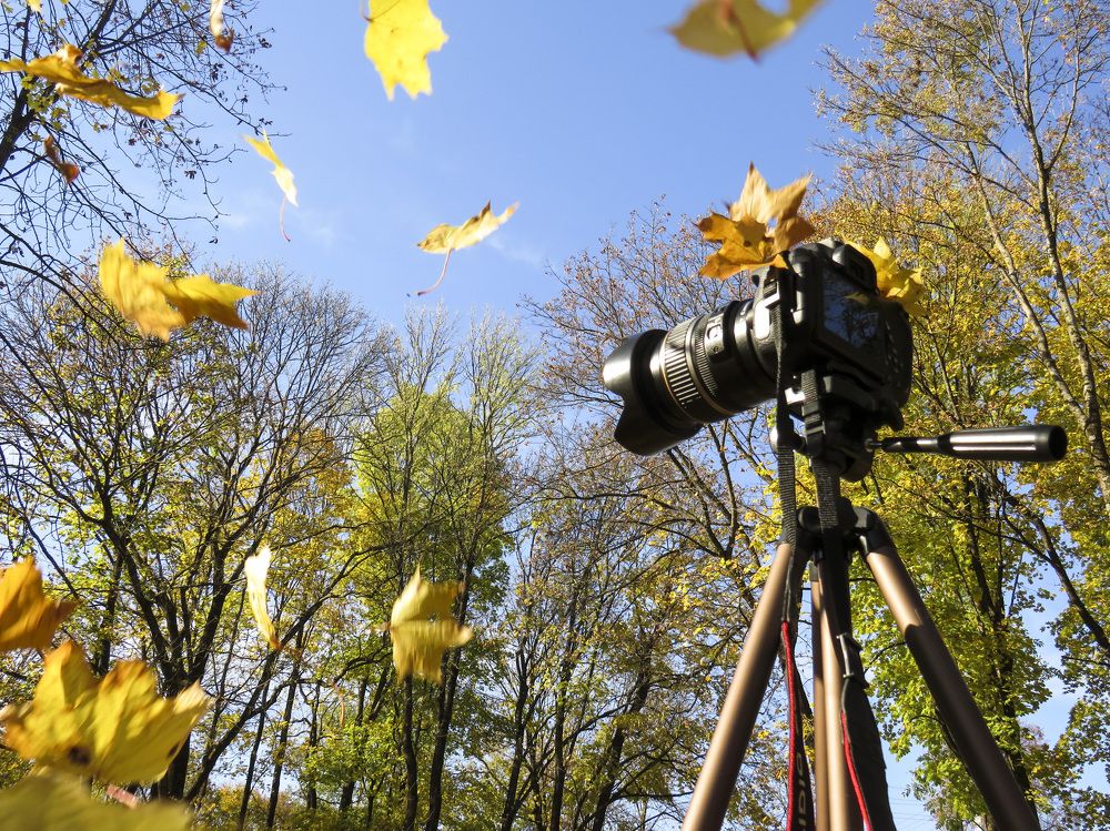 Shooting autumn with a professional camera