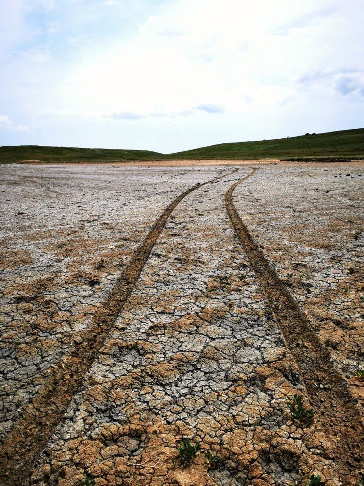 Фотография автора Андрей Богданов